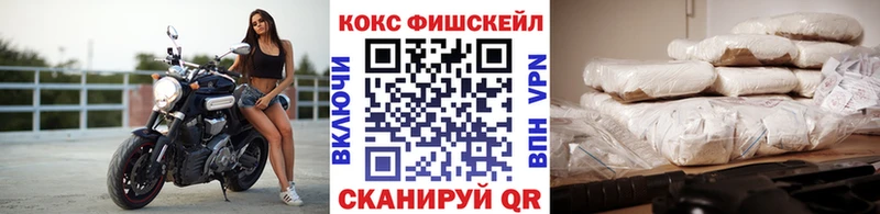 Купить закладки  Тайшет  Cocaine Эквадор 