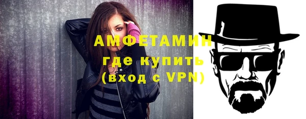 ECSTASY Бородино