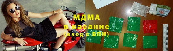 ECSTASY Бородино