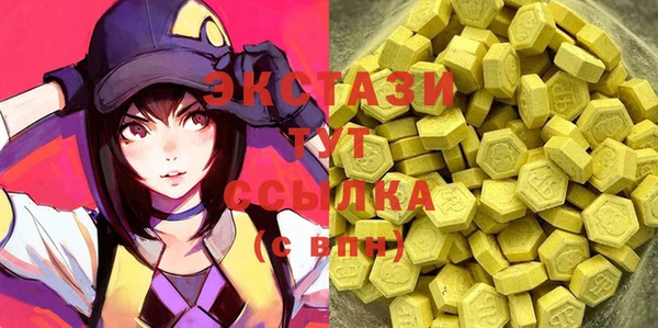 ECSTASY Бородино