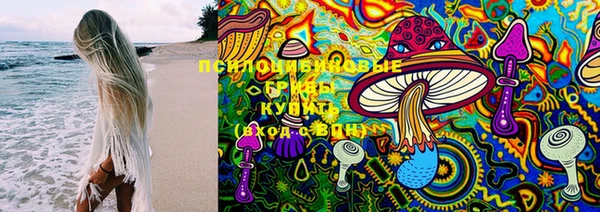 ECSTASY Бородино