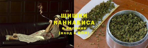ECSTASY Бородино